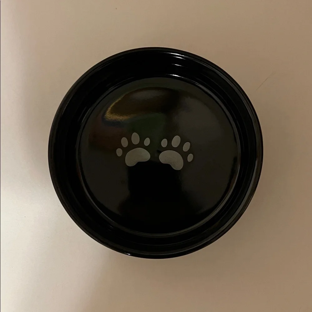 Black Cat Design Pet Bowl. NWOT